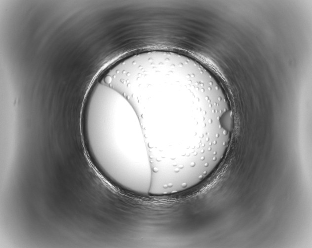 X0000087040839200705021135