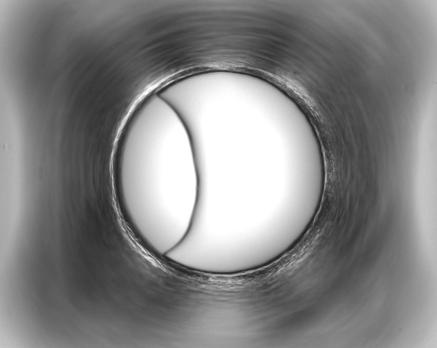 X0000087040840200705021135