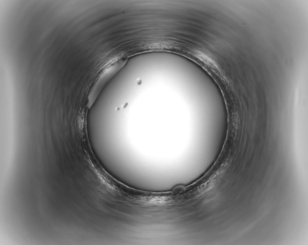 X0000087040841200705021135