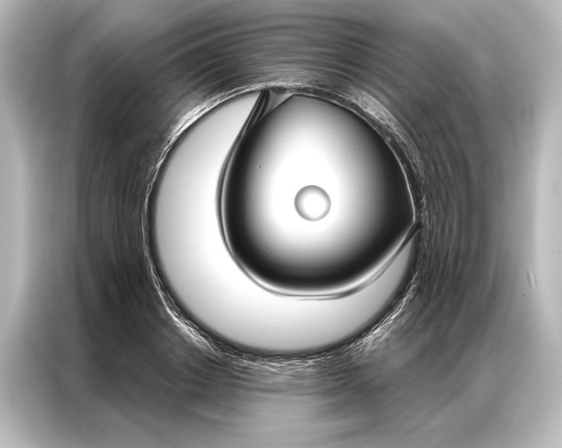 X0000087040842200705021135