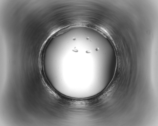 X0000087040843200705021135