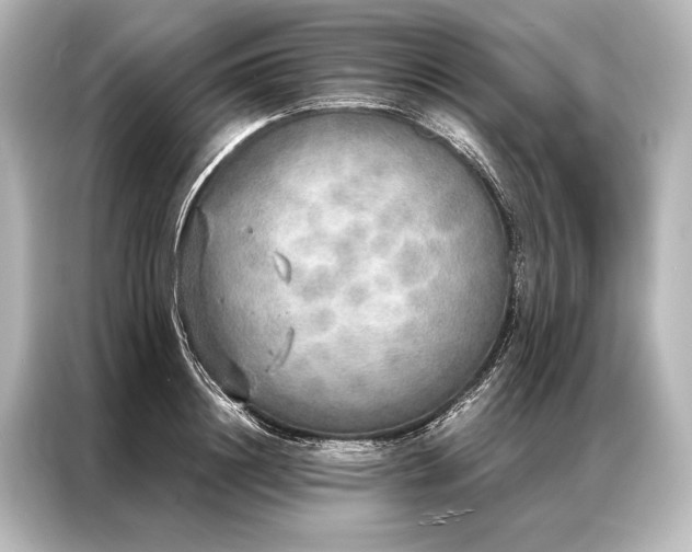 X0000087040844200705021135
