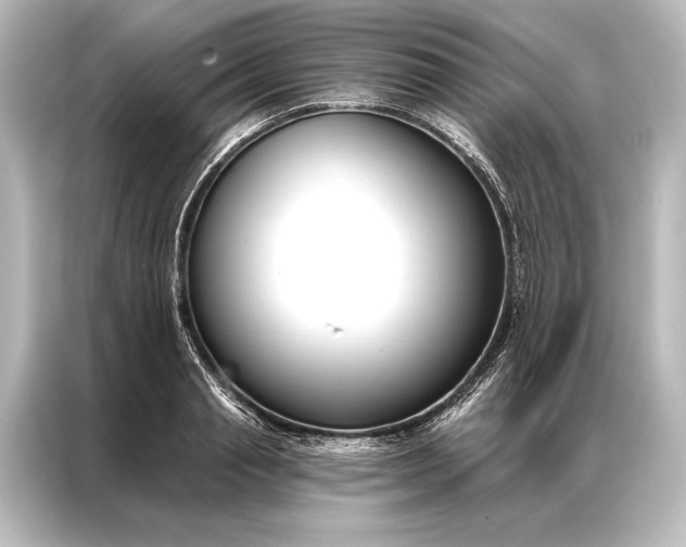 X0000087040845200705021135