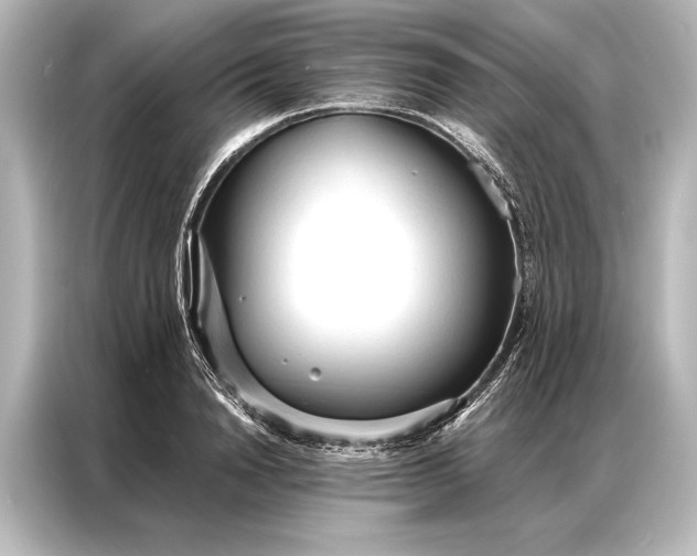 X0000087040846200705021135