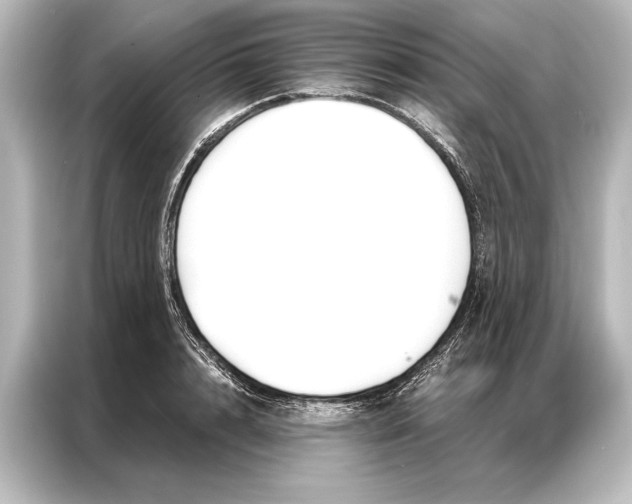 X0000087040848200705021135