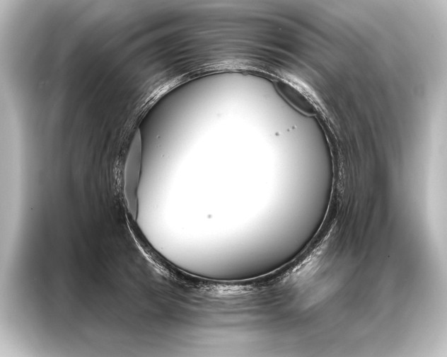 X0000087040849200705021135