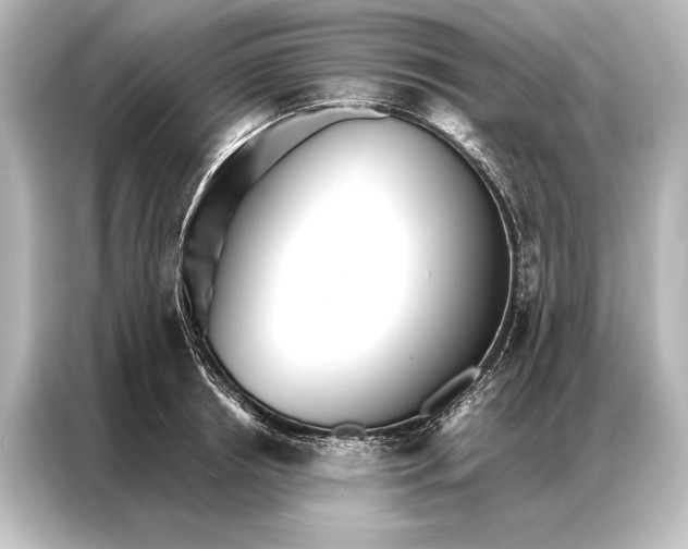 X0000087040850200705021135