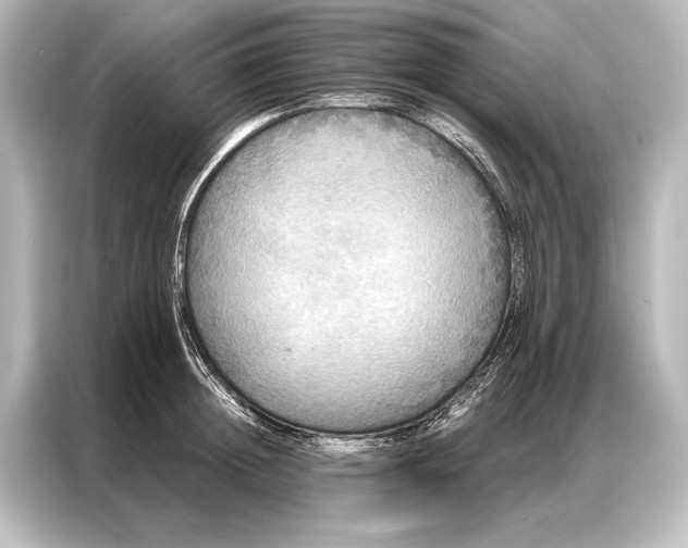 X0000087040852200705021135
