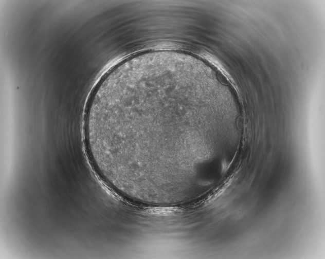 X0000087040853200705021135
