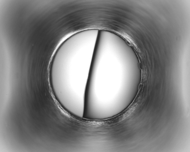 X0000087040854200705021135