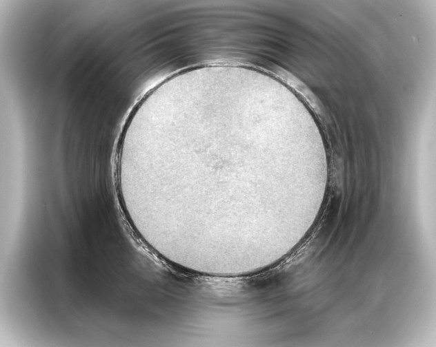 X0000087040856200705021135