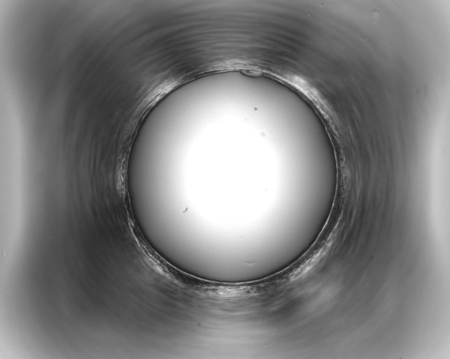 X0000087040857200705021135