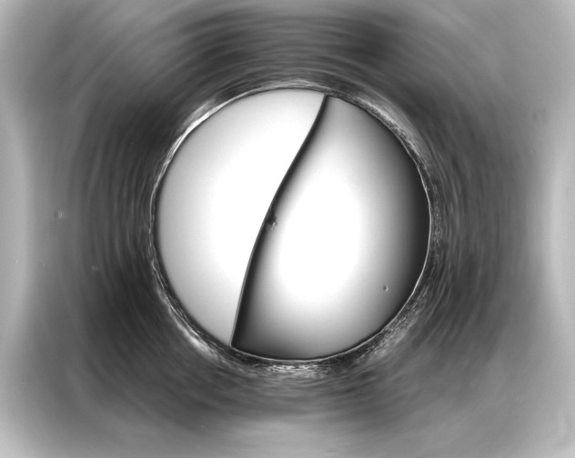 X0000087040858200705021135
