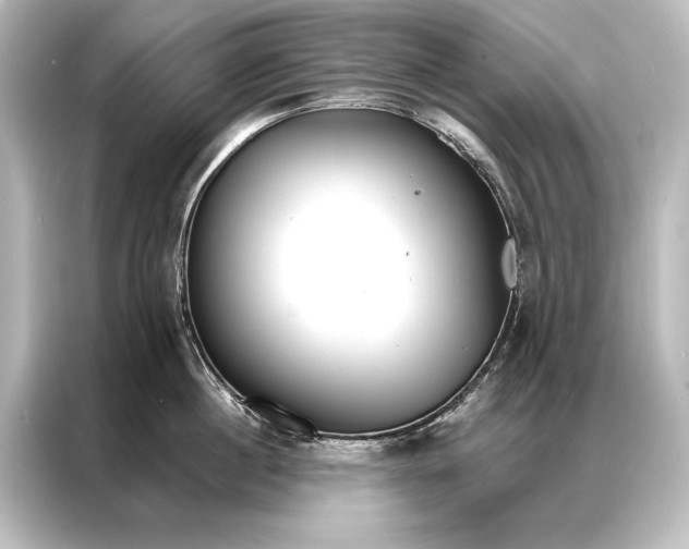X0000087040860200705021135