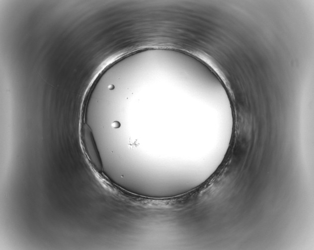 X0000087040861200705021135