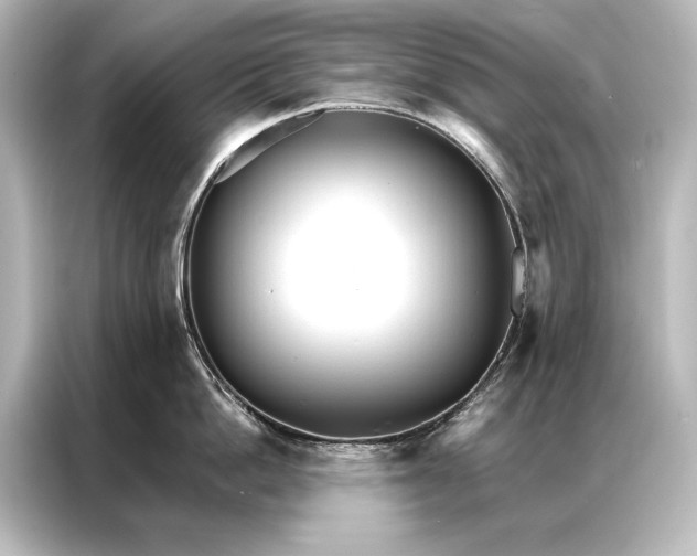 X0000087040862200705021135