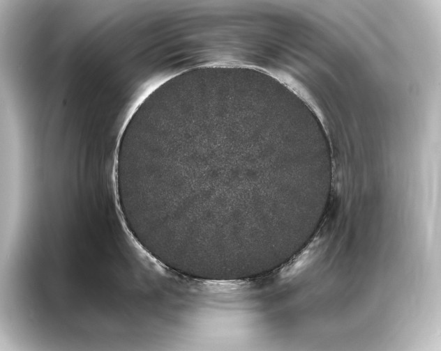 X0000087040863200705021135