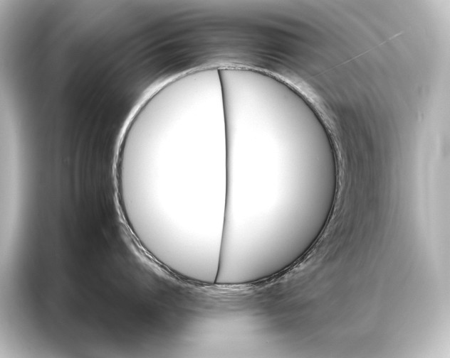 X0000087040864200705021135