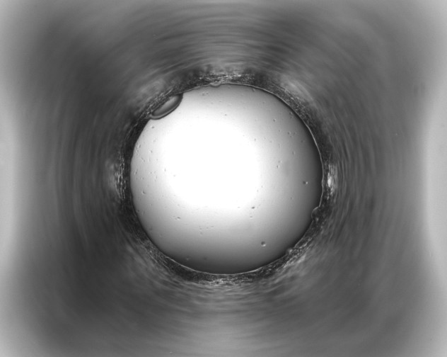 X0000087040867200705021134