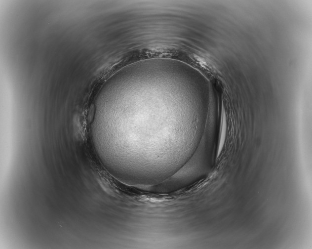 X0000087040868200705021134