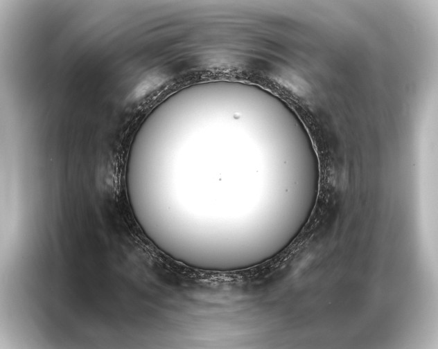 X0000087040869200705021134