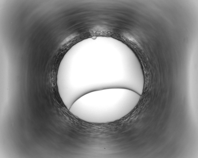 X0000087040870200705021134