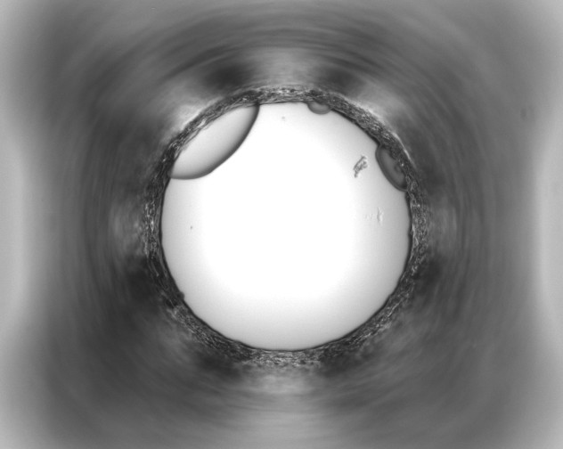 X0000087040871200705021134