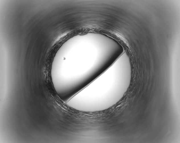 X0000087040872200705021134