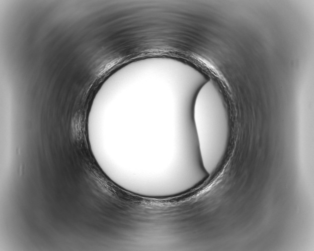 X0000087040873200705021134