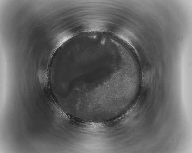 X0000087040874200705021134
