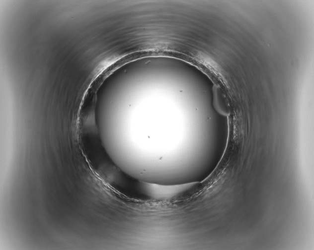 X0000087040876200705021134