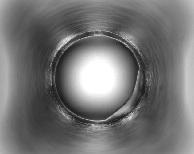 X0000087040877200705021134