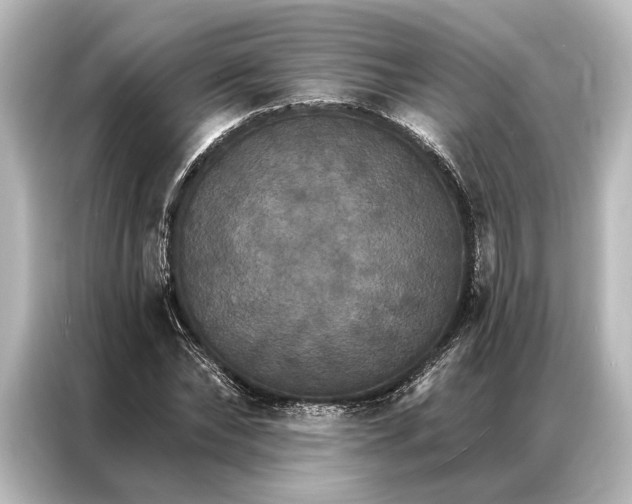 X0000087040878200705021134