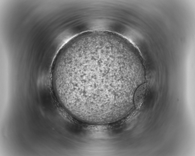 X0000087040879200705021134