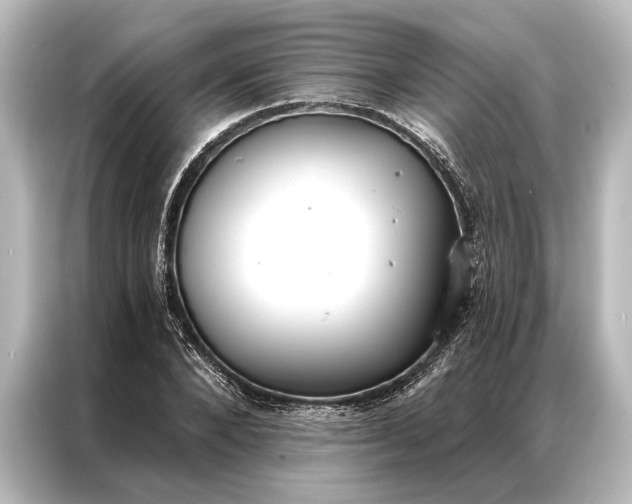 X0000087040880200705021134