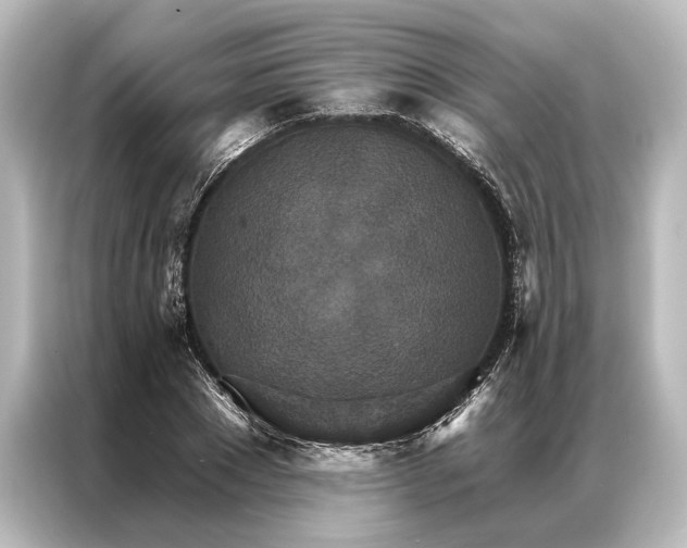 X0000087040881200705021134