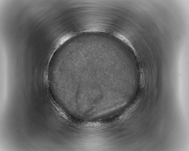 X0000087040882200705021134