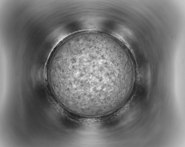 X0000087040883200705021134