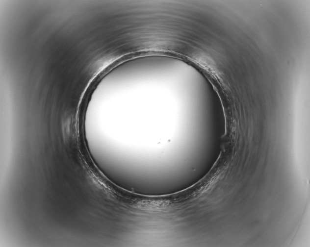 X0000087040884200705021134