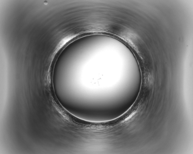 X0000087040885200705021134
