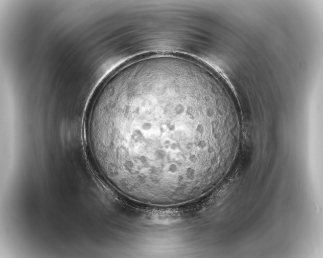 X0000087040887200705021134