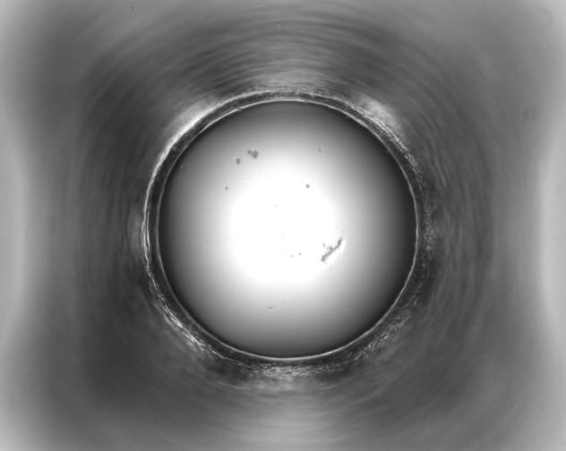 X0000087040888200705021134