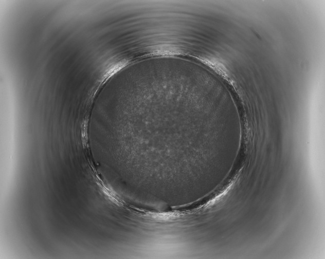 X0000087040889200705021134