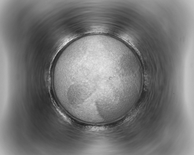 X0000087040890200705021134