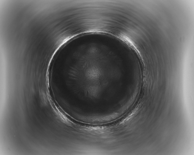 X0000087040892200705021134