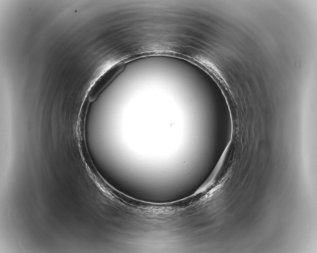 X0000087040893200705021134