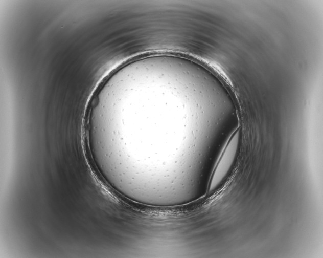 X0000087040895200705021134