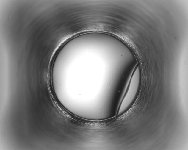 X0000087040896200705021134