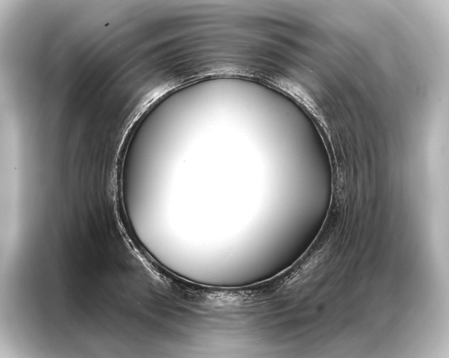X0000087040898200705021134