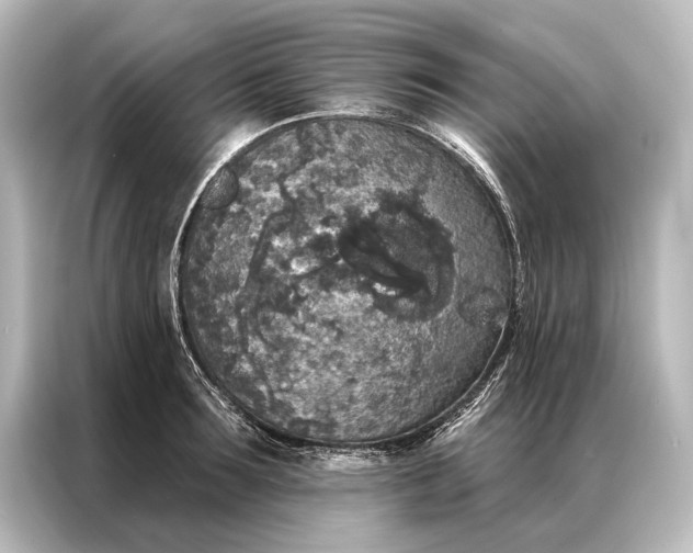 X0000087040899200705021134